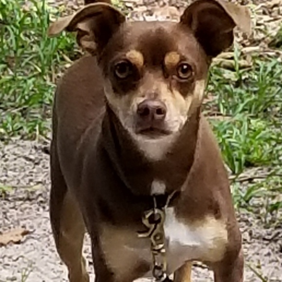 Meet your Posher, Tracy - Picture 1 of 1